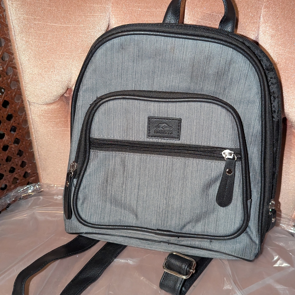 Gray Backpack with Black Accents
